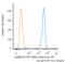 Lysosomal Associated Membrane Protein 2 antibody, NBP2-22217AF647, Novus Biologicals, Flow Cytometry image 