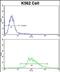 LUC7 Like antibody, PA5-72487, Invitrogen Antibodies, Flow Cytometry image 