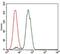 NCK Adaptor Protein 1 antibody, GTX60593, GeneTex, Flow Cytometry image 