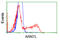 Aryl Hydrocarbon Receptor Nuclear Translocator Like antibody, LS-C115287, Lifespan Biosciences, Flow Cytometry image 