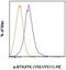 Bruton Tyrosine Kinase antibody, 12-9015-42, Invitrogen Antibodies, Flow Cytometry image 