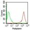 Podoplanin antibody, MA5-16267, Invitrogen Antibodies, Flow Cytometry image 