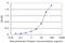 ADP Ribosylation Factor 5 antibody, MA5-18416, Invitrogen Antibodies, Enzyme Linked Immunosorbent Assay image 