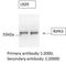 Receptor Interacting Serine/Threonine Kinase 3 antibody, NBP1-77299, Novus Biologicals, Western Blot image 