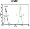 Keratin 25 antibody, abx026176, Abbexa, Flow Cytometry image 