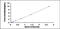 Transient Receptor Potential Cation Channel Subfamily M Member 4 antibody, MBS2019596, MyBioSource, Enzyme Linked Immunosorbent Assay image 