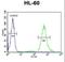 Transmembrane 131 Like antibody, LS-C161666, Lifespan Biosciences, Flow Cytometry image 