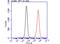 AT-Rich Interaction Domain 5A antibody, NBP2-43745, Novus Biologicals, Flow Cytometry image 