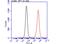 AT-rich interactive domain-containing protein 5A antibody, NBP2-43745, Novus Biologicals, Flow Cytometry image 