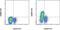 Nuclear Factor, Interleukin 3 Regulated antibody, 12-9812-41, Invitrogen Antibodies, Flow Cytometry image 