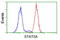 Signal Transducer And Activator Of Transcription 5A antibody, LS-C172879, Lifespan Biosciences, Flow Cytometry image 