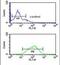 Gamma-Aminobutyric Acid Type A Receptor Gamma3 Subunit antibody, PA5-24729, Invitrogen Antibodies, Flow Cytometry image 