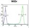 Glucuronidase Beta antibody, LS-C166747, Lifespan Biosciences, Flow Cytometry image 