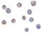 C1q And TNF Related 6 antibody, A12414, Boster Biological Technology, Immunocytochemistry image 