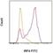 Interferon Regulatory Factor 4 antibody, 11-9858-82, Invitrogen Antibodies, Flow Cytometry image 