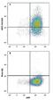 Solute Carrier Family 12 Member 5 antibody, MAB8369, R&D Systems, Flow Cytometry image 