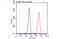AIF1 antibody, GTX100042, GeneTex, Flow Cytometry image 