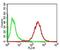 Perilipin 2 antibody, GTX34395, GeneTex, Flow Cytometry image 