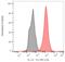 p53 antibody, LS-C46336, Lifespan Biosciences, Flow Cytometry image 