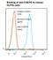 T12 antibody, LS-C134239, Lifespan Biosciences, Flow Cytometry image 