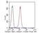 Calpain Small Subunit 1 antibody, NBP2-80453, Novus Biologicals, Flow Cytometry image 