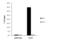 SUZ12 Polycomb Repressive Complex 2 Subunit antibody, GTX60363, GeneTex, Chromatin Immunoprecipitation image 