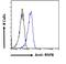 Ring Finger Protein 8 antibody, LS-C55414, Lifespan Biosciences, Flow Cytometry image 