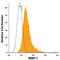 Matrix Metallopeptidase 7 antibody, IC9071P, R&D Systems, Flow Cytometry image 