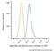 Actin Alpha 2, Smooth Muscle antibody, NBP2-34522APC, Novus Biologicals, Flow Cytometry image 