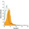 Neuropilin 1 antibody, FAB566P, R&D Systems, Flow Cytometry image 