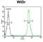 VPS26, Retromer Complex Component A antibody, abx034080, Abbexa, Western Blot image 