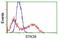 Serine/Threonine Kinase 39 antibody, NBP1-48021, Novus Biologicals, Flow Cytometry image 