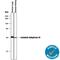 Carbonic Anhydrase 4 antibody, AF2186, R&D Systems, Western Blot image 