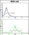 Argininosuccinate Synthase 1 antibody, PA5-72474, Invitrogen Antibodies, Flow Cytometry image 