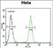 TFIIIC90 antibody, PA5-71605, Invitrogen Antibodies, Flow Cytometry image 