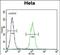 Lemur Tyrosine Kinase 3 antibody, PA5-71550, Invitrogen Antibodies, Flow Cytometry image 