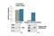 Neurotrophic Receptor Tyrosine Kinase 1 antibody, 7212C, Cell Signaling Technology, Enzyme Linked Immunosorbent Assay image 