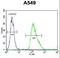 Immediate Early Response 3 antibody, LS-C165117, Lifespan Biosciences, Flow Cytometry image 