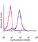 BCL2 antibody, 633508, BioLegend, Immunocytochemistry image 