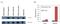 Influenza A Virus M1 antibody, NBP2-50480, Novus Biologicals, Western Blot image 