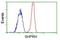 SNF2 Histone Linker PHD RING Helicase antibody, NBP2-02797, Novus Biologicals, Flow Cytometry image 