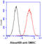 Diablo IAP-Binding Mitochondrial Protein antibody, GTX57593, GeneTex, Flow Cytometry image 