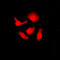 Serine And Arginine Rich Splicing Factor 3 antibody, LS-B13594, Lifespan Biosciences, Immunofluorescence image 