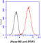 Pyrophosphatase (Inorganic) 1 antibody, GTX57682, GeneTex, Flow Cytometry image 