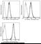 ADAM Metallopeptidase Domain 15 antibody, 10517-R007-P, Sino Biological, Flow Cytometry image 