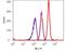 Ribosomal Protein S6 Kinase B1 antibody, 701064, Invitrogen Antibodies, Flow Cytometry image 