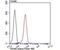 Transglutaminase-3-like antibody, NBP2-75688, Novus Biologicals, Flow Cytometry image 