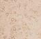 Potassium Voltage-Gated Channel Subfamily B Member 1 antibody, PB9111, Boster Biological Technology, Immunohistochemistry frozen image 