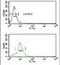 MutY DNA Glycosylase antibody, PA5-26167, Invitrogen Antibodies, Flow Cytometry image 