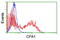 Carboxypeptidase A1 antibody, TA504523, Origene, Flow Cytometry image 